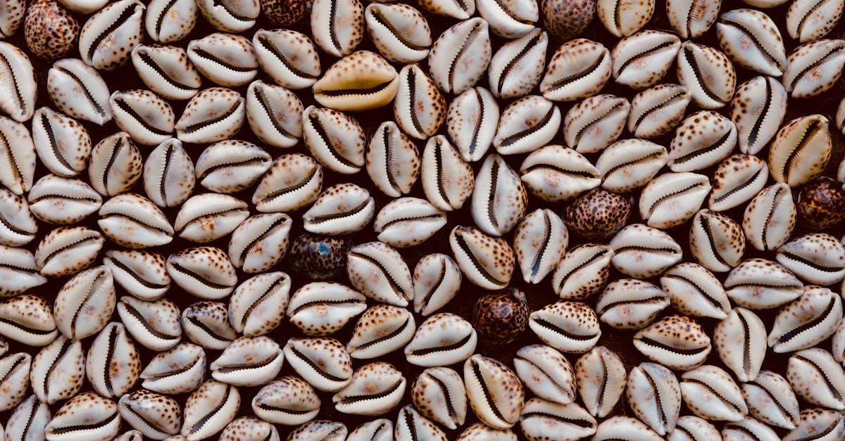 Oceaniczny rytuał: maseczki z kauri dla gładkiej i promiennej skóry