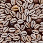 Oceaniczny rytuał: maseczki z kauri dla gładkiej i promiennej skóry