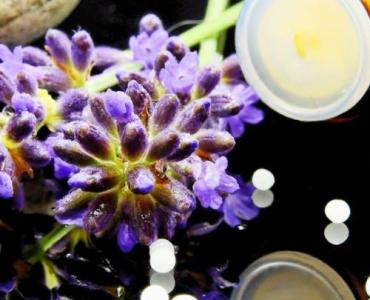 Wzmocnij odporność od środka: naturalne sposoby wspierania pracy grasicy